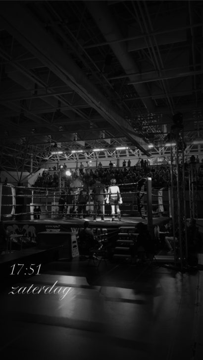foto van een kickbox ring